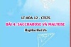 Công thức cấu tạo Saccharose, Maltose? tính chất hóa học, ứng dụng của Saccharose? Hóa 12 bài 4 CTST